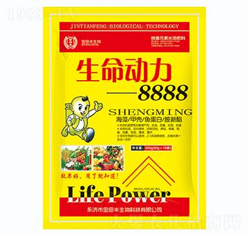 ������(d��ng)��8888-�����S