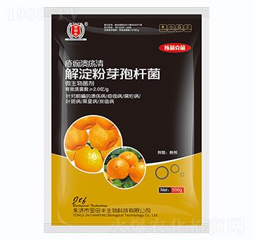 �����ѿ�ߗU��-���蝢����-�����S