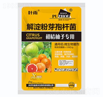 �����ѿ�ߗU��-�̽����ӌ�(zhu��n)��-�����S