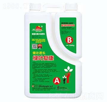 �������L�G�~��(f��)��-�����S