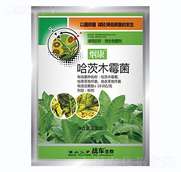 ����ľù-����-��(zh��n)܇