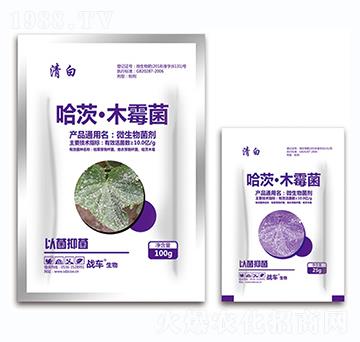 �׷����~ù���ù��ġ�ľù��-���-��(zh��n)܇