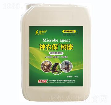 �������z�������Ƅ�-���r(n��ng)�����俵-��(zh��n)܇