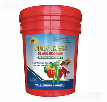 �����n���_ʩ��-�Wِ��-�����f��