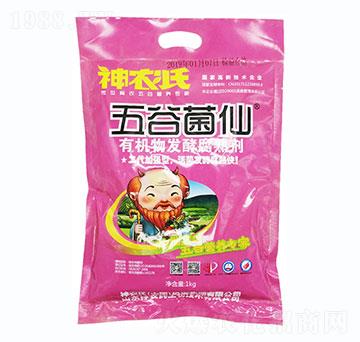 �ЙC��l(f��)�͸��섩-���