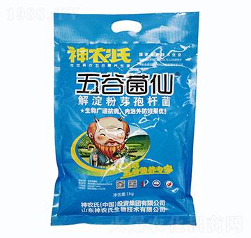 �����ѿ�ߗU��-��Ⱦ���-���r��