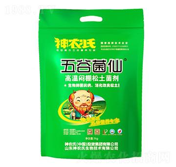 �ߜؐ�����������-��Ⱦ���-���r��