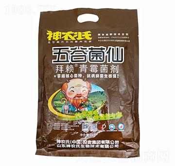 ��ه����ù����-��Ⱦ���-���r��