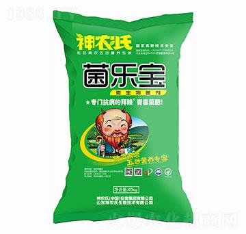 ΢�������-������-���r��