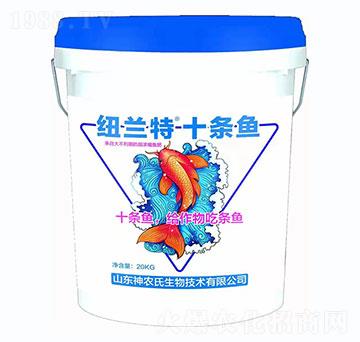 �~�m��+ʮ�l�~-���r��