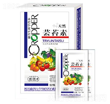 ��Ȼ�|̦��-������