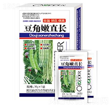 豆角嫩直長(zhǎng)-康普生