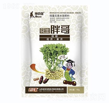 �����ָ�-��(zh��n)܇