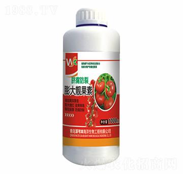 ����n����-�ֿ��S