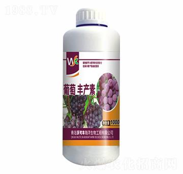 �����S�a(ch��n)��-�ֿ��S