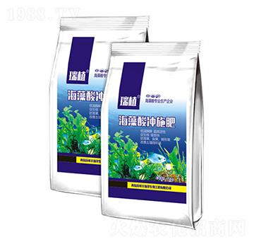 ������_ʩ��-�ֿ��S