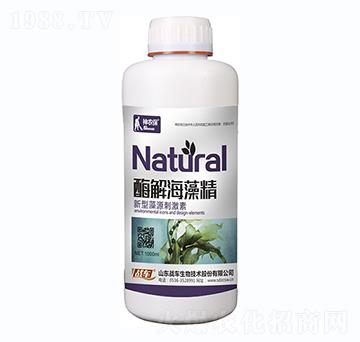 ø�⺣�徫-��(zh��n)܇(ch��)