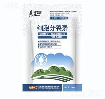 ��(x��)��������-���r(n��ng)��-��(zh��n)܇