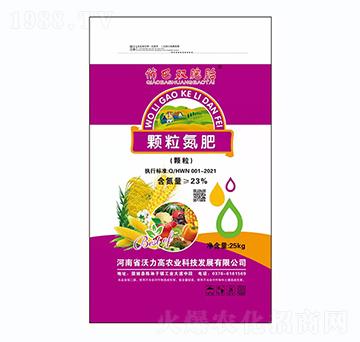 �w������-�ΰ��p��̥-������