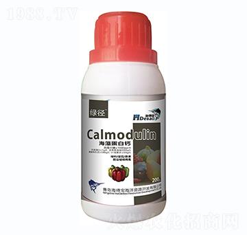 ���嵰���}-���Ì�-���r��