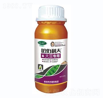 �󶹌���-��������