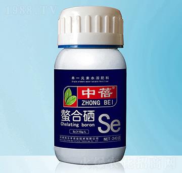 ������-����-�����S