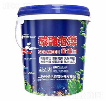 ̼ø�����~����-������