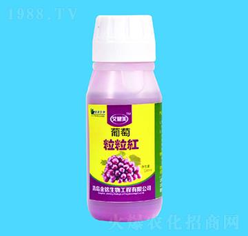 ���������t-�������