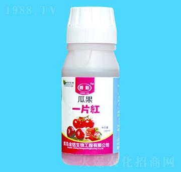 �Ϲ�һƬ�t-�n��-�������