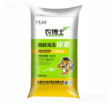 ø�⺣������-�r(n��ng)��ʿ-����S����