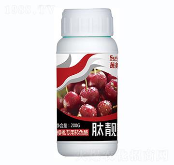 ���Ҍ����D(zhu��n)ɫø-���n��-������