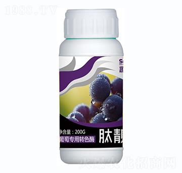 ���ь�(zhu��n)���D(zhu��n)ɫø-���n��-������
