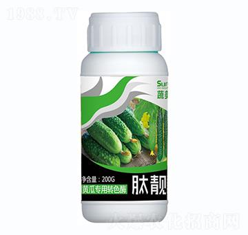 �S�ό����D(zhu��n)ɫø-���n��-������