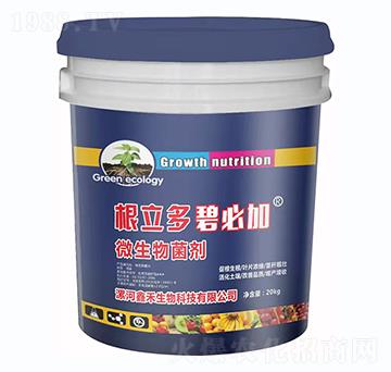 ΢�������-�����ࡤ�̱ؼ�-�κ�����