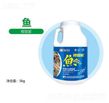 ���ܼ�-�S������