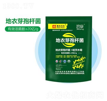 ����ѿ�ߗU��-�S������