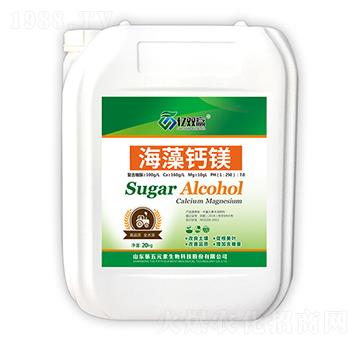 �Ǵ��}�V-�|�p�A-����Ԫ��