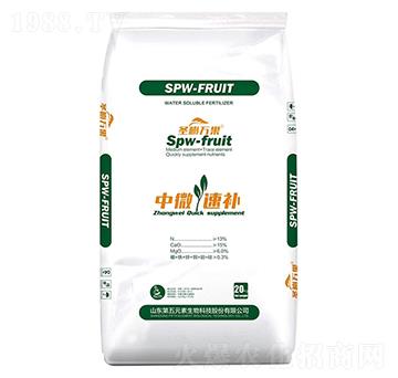 ��΢���a-ʥ���f��-����Ԫ��