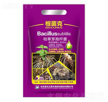 �ݲ�ѿ�ߗU��-������-����Ԫ��