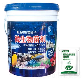 ΢�������-��ķ��-����Ԫ��