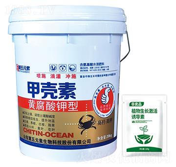 �S������ͼך���-����Ԫ��