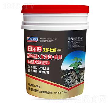 �����ᡤ�~���ס�̼��-��̡���������-Ӣ���ֲ���