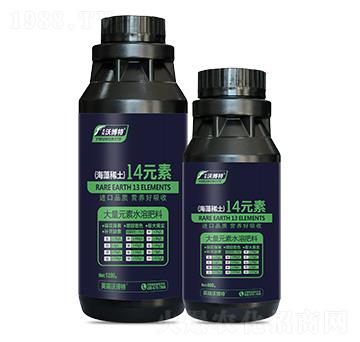 ����ϡ��14Ԫ��-Ӣ���ֲ���