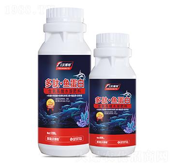 ���ġ��~(y��)����-Ӣ���ֲ���