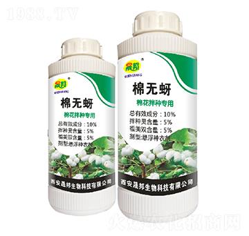 �޻���N����-�ޟo��-�ɰ�����