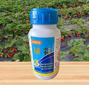 ����-�𲮘�(l��)