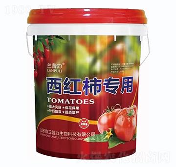 ���t����(zhu��n)��-�m����