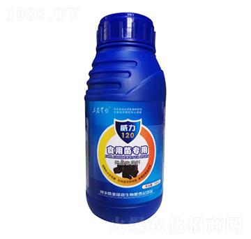 ʳ�þ�����-����120-���_