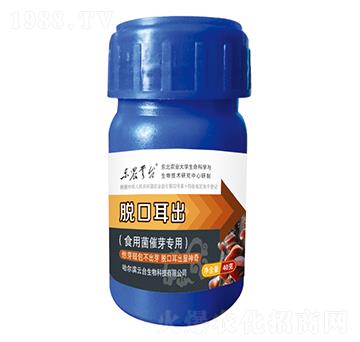 食用菌催芽專用-脫口耳出-云臺