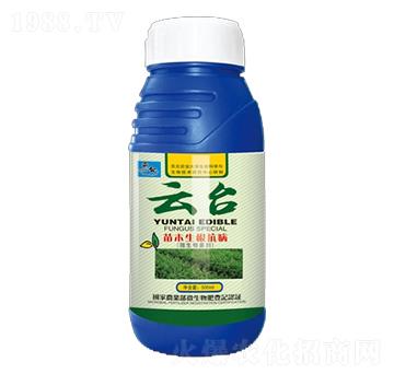 ��ľ��������΢�������-���_(t��i)